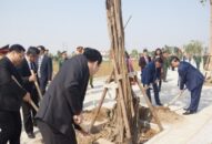 Chủ tịch UBND TP trồng cây tại Khu di tích Quốc gia đặc biệt Đền thờ Trạng Trình Nguyễn Bỉnh Khiêm