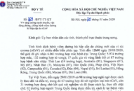 Bộ Y tế chỉ đạo tăng cường tuyên truyền, vận động phòng, chống bệnh viêm đường hô hấp cấp do nCoV
