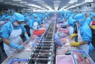 Thông báo, hướng dẫn quy trình xuất nhập khẩu hàng thủy sản đông lạnh sang thị trường Trung Quốc