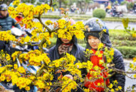 Chợ hoa xuân ‘siêu to’ ở Hải Phòng nhộn nhịp ngày giáp tết