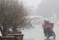 Dự báo thời tiết dịp Tết Nguyên đán: Bắc bộ, bắc Trung bộ có mưa, rét