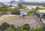 Đoàn chuyên gia khảo cổ học, sử học khảo sát, nghiên cứu bãi cọc Đầm Thượng, xã Lại Xuân