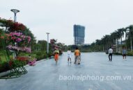 Công ty TNHH MTV Môi trường đô thị Hải Phòng: Sẽ thay đổi thiết kế cây hoa trang trí dải trung tâm bảo đảm an toàn tuyệt đối cho nhân dân
