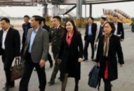 Hải Phòng: Thêm 4 người nghi nhiễm virus Corona đang được theo dõi