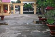 Hiệu trưởng Trường THPT Mạc Đĩnh Chi nói gì khi bị chuyển công tác?