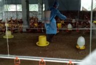 Triển khai Tháng vệ sinh, tiêu độc, khử trùng môi trường đợt 1 năm 2020