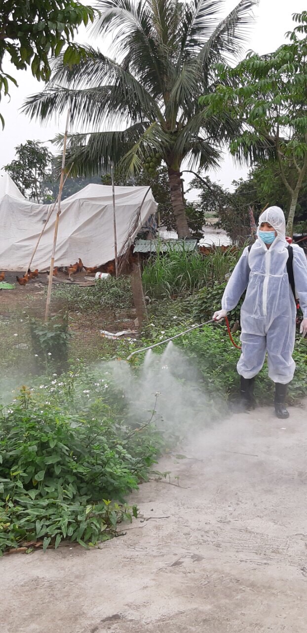Các địa phương bắt đầu triển khai “Tháng vệ sinh, tiêu độc, khử trùng môi trường”