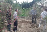 Xã Đặng Cương (An Dương): Thu nhập hoa cây cảnh Tết 2020 đạt 54 tỷ đồng