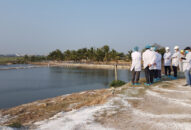 Hải Phòng tiêu hủy hơn 10.000 con vịt vì cúm A/H5N6