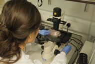 Đột phá quan trọng trong sản xuất vaccine phòng bệnh do virus Corona