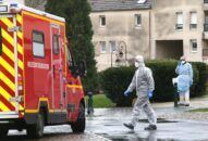 Dịch bệnh lan rộng tại châu Âu