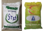 Cẩn trọng khi mua gạo ngon nhất thế giới ST25