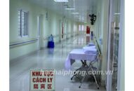 Thêm 15 cá nhân, tập thể, doanh nghiệp của Hải Phòng ủng hộ 1,203 tỷ đồng và lương thực, thực phẩm, vật dụng phòng, chống COVID-19