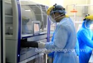 Chính thức vận hành máy xét nghiệm xác định vi-rút gây bệnh COVID-19 tại Hải Phòng