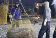 Tìm hướng đi mới cho “lộc biển”