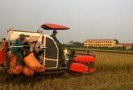 Hội Nông dân thành phố: Chú trọng hỗ trợ nông dân tiếp cận tiến bộ KHCN