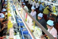 Nhiều giải pháp đưa ra nhằm gỡ khó cho doanh nghiệp