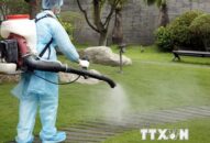 Các địa phương thực hiện nghiêm biện pháp phòng, chống COVID-19