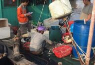 Thành lập đoàn công tác liên ngành kiểm tra việc chấp hành các quy định pháp luật trong hoạt động chống khai thác hải sản bất hợp pháp