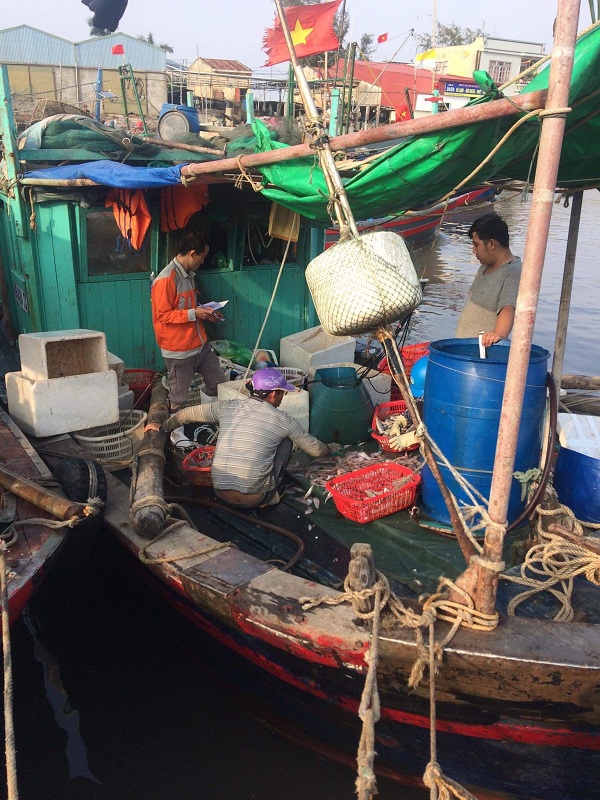 Các tổ chức, cá nhân kiểm tra việc chấp hành các quy định của pháp luật trong hoạt động thủy sản, chống khai thác IUU