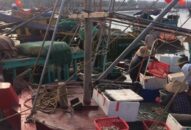 Kế hoạch kiểm tra liên ngành chống khai thác hải sản bất hợp pháp