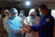 Lô thịt lợn đầu tiên từ tập đoàn “khủng” của Nga sắp đổ bộ Việt Nam