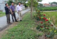 Hội Nông dân thành phố: Xung kích xây dựng nông thôn mới, đô thị văn minh