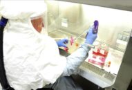 Hai người Mỹ gốc Việt đầu tiên tử vong vì virus SARS-CoV-2