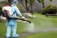 Bộ Y tế: Thêm 2 khách du lịch đến từ châu Âu mắc bệnh COVID-19