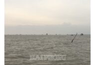 Xử lý nghiêm các đối tượng “ăn chặn” của ngư dân