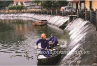 Công ty TNHH MTV Thoát nước Hải Phòng: Bảo đảm khử trùng toàn bộ nước thải sinh hoạt