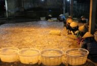 Quận Đồ Sơn giữ vững phát triển kinh tế trước ảnh hưởng của dịch Covid-19