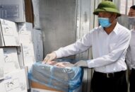 Nhập khẩu thịt lợn thực hiện theo quy trình “1 cửa 1 chất lượng”