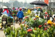 Khẩn cấp tìm những người đã đến chợ hoa Mê Linh (Hà Nội) để phòng dịch COVID-19