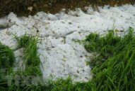 Bắc Bộ sắp “đón” không khí lạnh tăng cường, nguy cơ cao xảy ra mưa đá