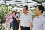 Thúc đẩy sản xuất nông nghiệp sau đợt phòng, chống dịch bệnh COVID-19