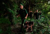 Hoàn thiện cơ sở pháp lý về quản lý, bảo vệ biên giới quốc gia và nâng cao hiệu quả hoạt động của Bộ đội biên phòng