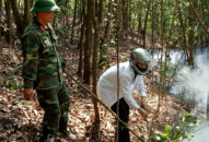 Dập tắt đám cháy rừng tại núi Trà Phương (Kiến Thụy)