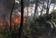 Bảo đảm an toàn phòng cháy, chữa cháy trong mùa nắng nóng