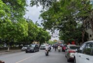 Thực hiện ngay việc kiểm tra, rà soát và xử lý cây xanh nguy hiểm trên địa bàn thành phố