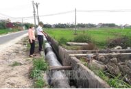 Xã Tân Tiến (huyện An Dương): Mong sớm có tuyến kênh cấp nước cho sản xuất