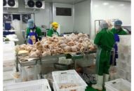 Thực hiện quy hoạch cơ sở giết mổ gia súc, gia cầm: Chậm do nhiều vướng mắc