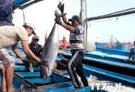 Việt Nam bảo vệ và phát triển nguồn lợi hải sản vì một đại dương xanh