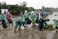 Hành động vì thiên nhiên-Không thể chậm trễ