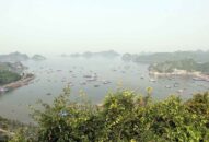 Phát triển khu dự trữ sinh quyển thế giới Cát Bà theo hướng bền vững