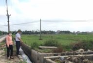 Gần 200 ha đất nông nghiệp tại xã Tân Tiến (An Dương) nguy cơ hạn hán