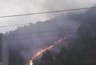 Xảy ra vụ cháy tại núi Sơn Đào (Thủy Nguyên)