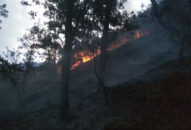 Khống chế, không để cháy lan và dập tắt vụ cháy rừng tại núi Sơn Đào