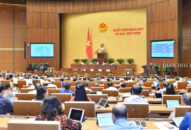 Chính thức tiếp tục miễn thuế sử dụng đất nông nghiệp đến hết năm 2025