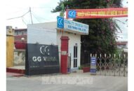Tìm hướng tháo gỡ vướng mắc, bảo đảm quyền lợi công nhân Công ty TNHH GG Vina